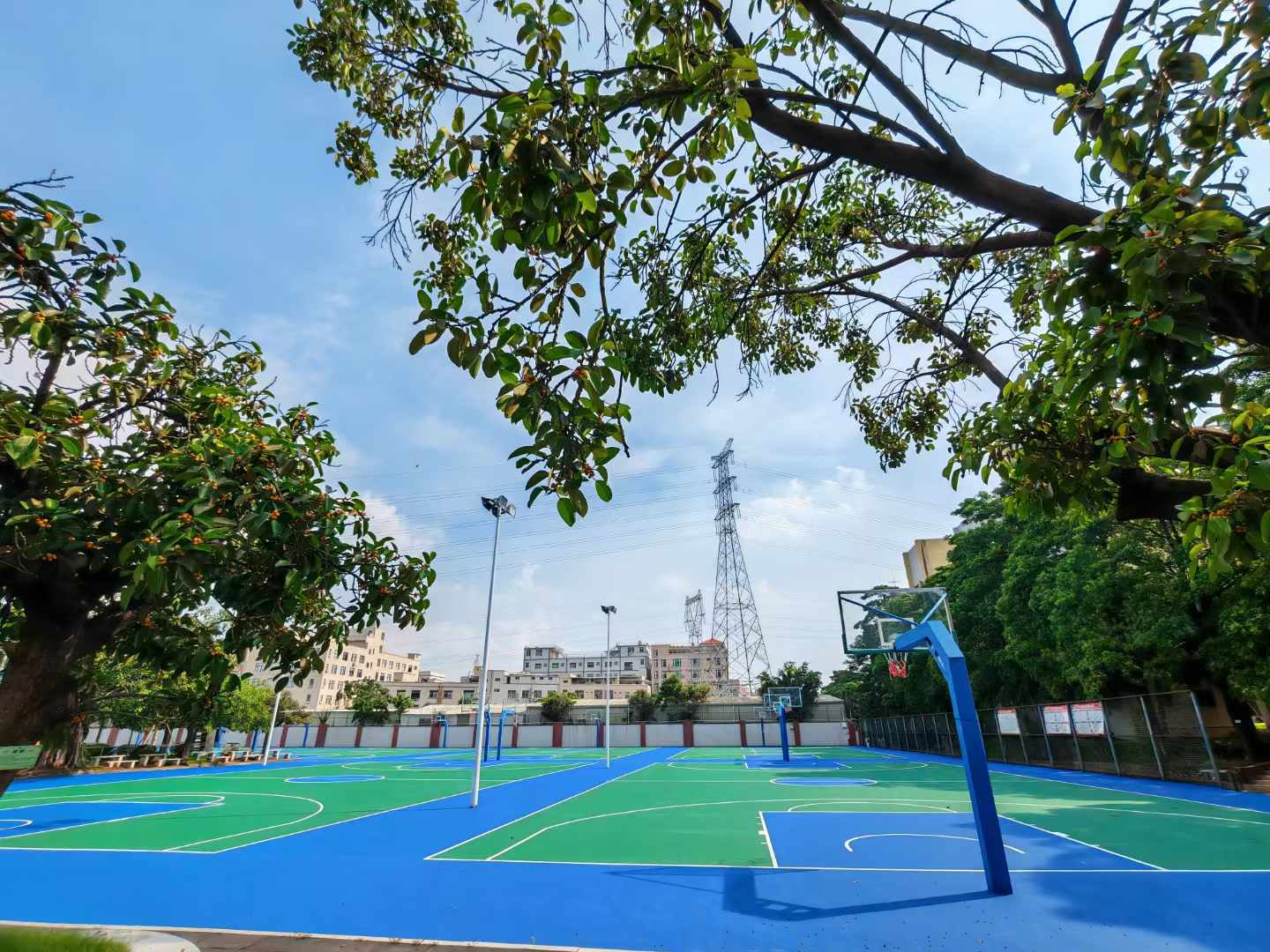 长春塑胶跑道